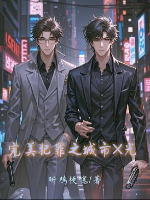 完美犯罪之城市X光