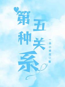 第五种关系