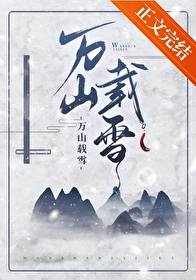 万山载雪
